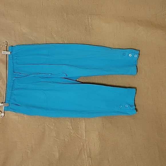Rebecca Malone Pants & Jumpsuits Rebecca Malone Aqua Capri Pants
